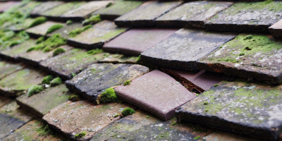 Fulmer roof repair costs